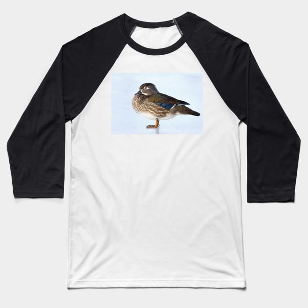 My favourite duck - Wood Duck Baseball T-Shirt by Jim Cumming